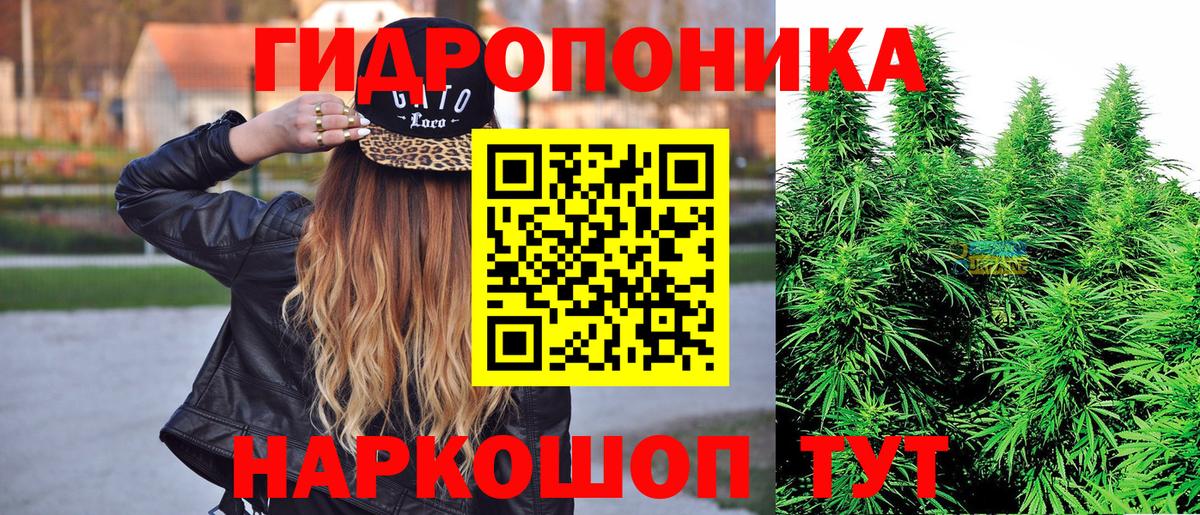 Канабис план Кингисепп